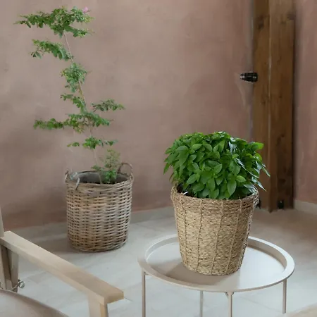 Stagonhouse2 Daire *